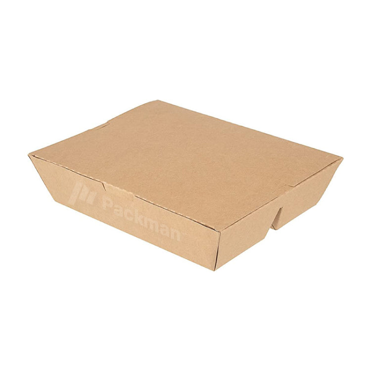 Packman: Is the Bento Box the Perfect Blend of Style and Sustainability