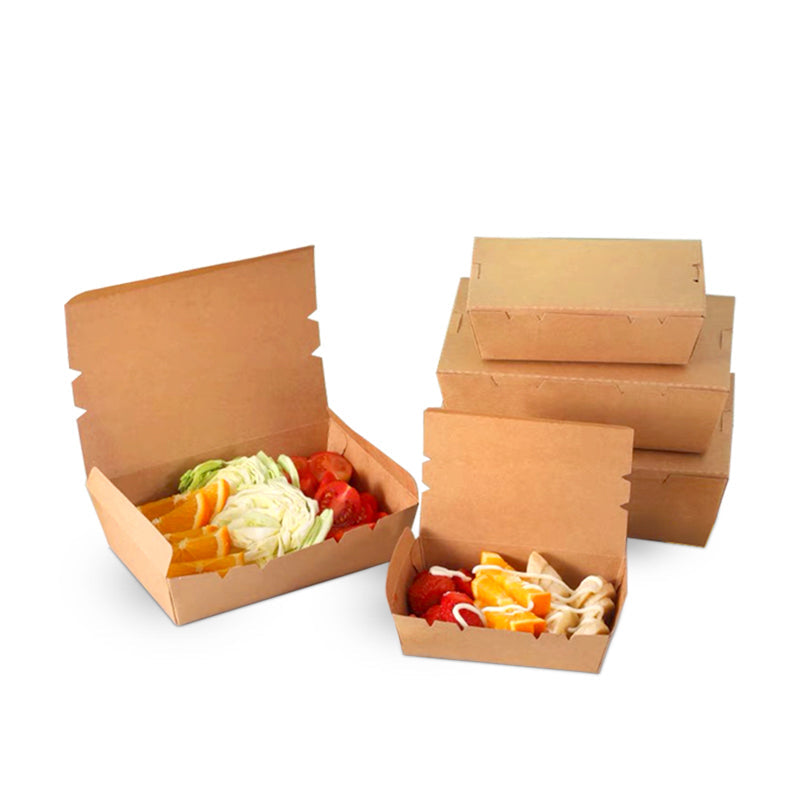 Packman: Meeting Customer Expectations with Eco-Friendly Delivery: The Kraft Lunch Box Advantage in Singapore