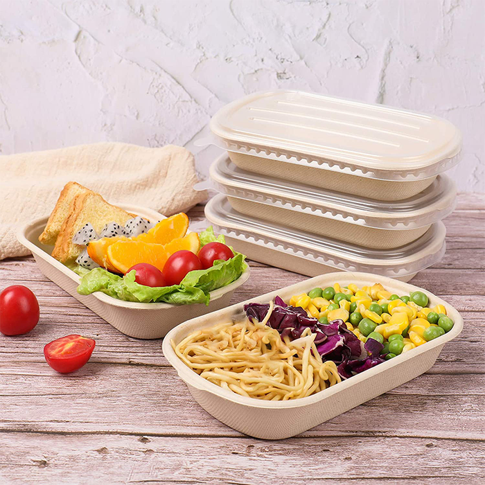 Packman: Why Are Oval Bagasse Bowls More Practical for Plating Rice, Noodles, and Side Dishes?