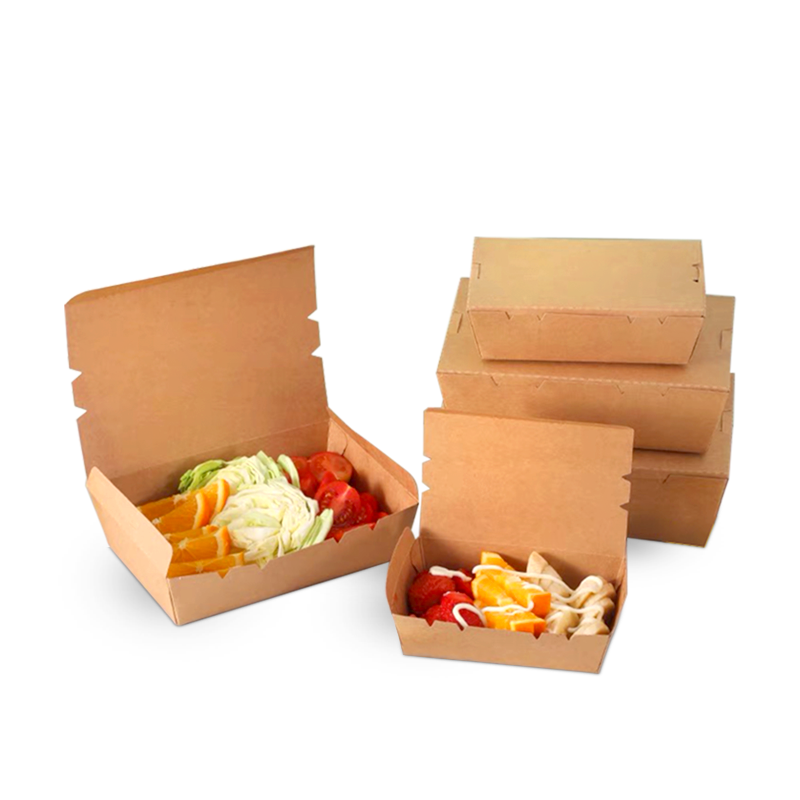 Packman: How Do Window Lunch Boxes Improve Food Presentation Compared to Normal Kraft Boxes?