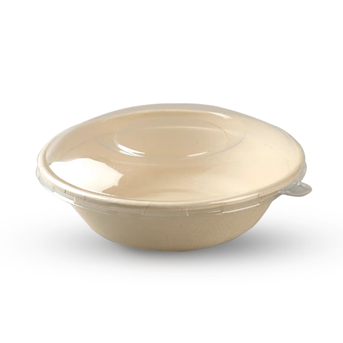 Packman: What Types of Food Can Be Served in Sugarcane Bowls?