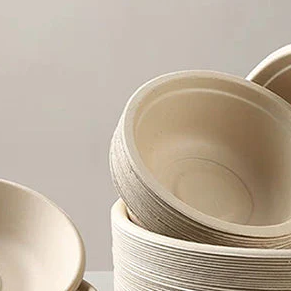 Packman: Fun Facts About Bagasse Material