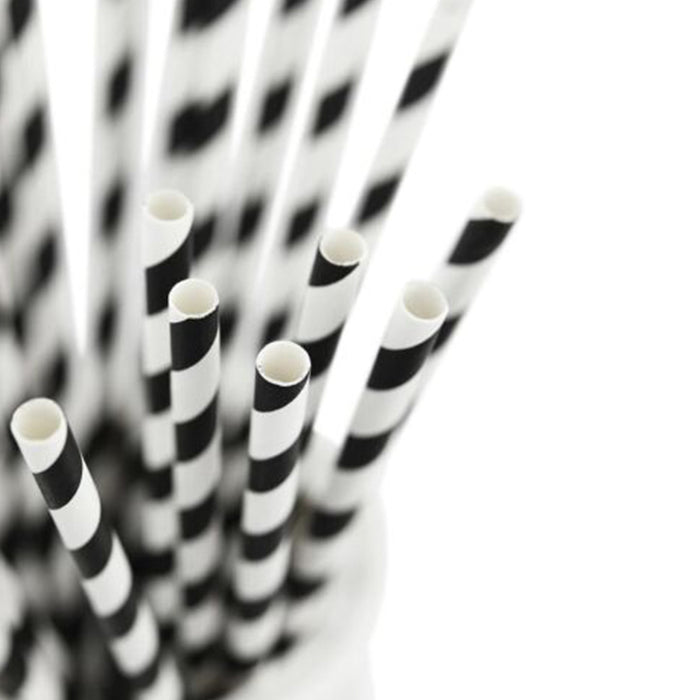 Black Stripe Paper Straw