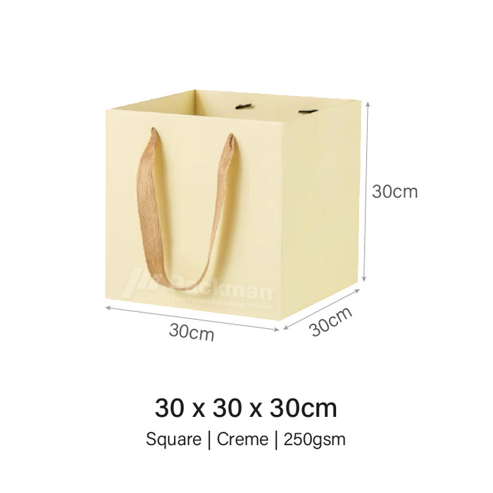 Coloured Rope Creme Paper Bag