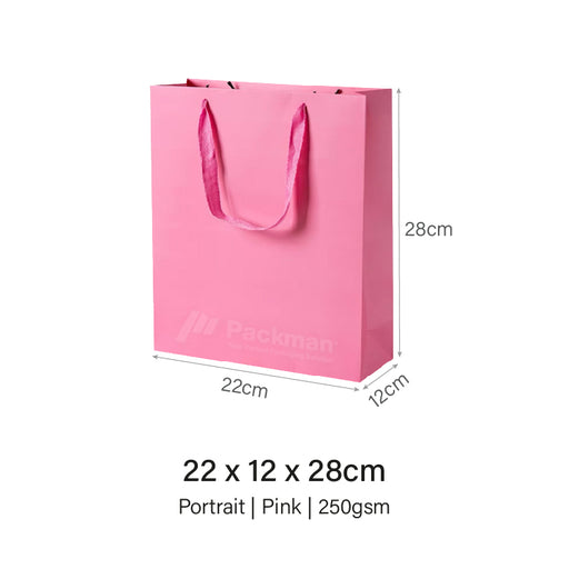 Coloured Rope Pink Paper Bag 