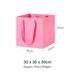 Coloured Rope Pink Paper Bag
