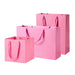 Coloured Rope Pink Paper Bag