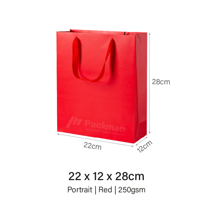 Coloured Rope Red Paper Bag 