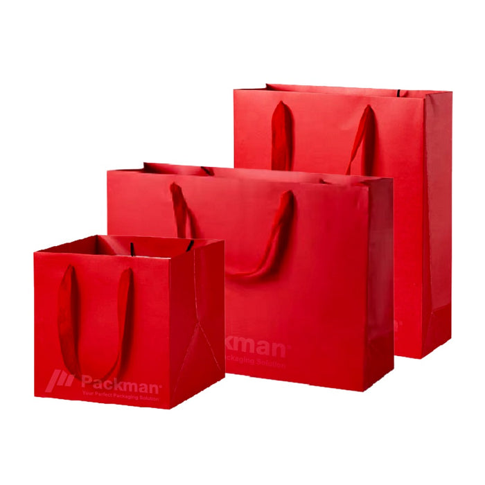 Coloured Rope Red Paper Bag 