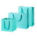 Coloured Rope Turquoise Paper Bag 