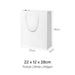Coloured Rope White Paper Bag