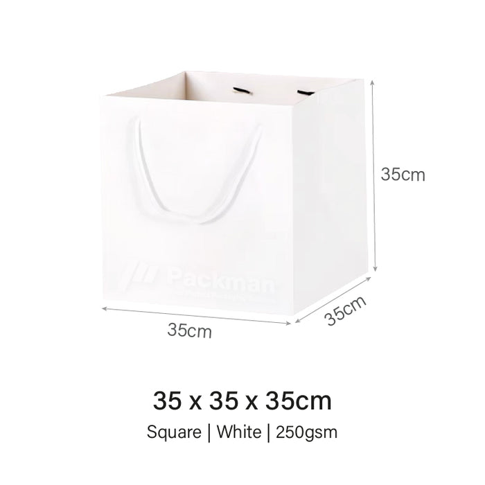 Coloured Rope White Paper Bag