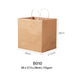 Extra Thick Paper Bag