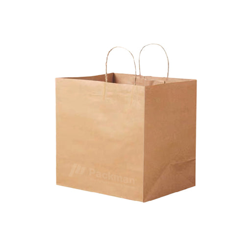Extra Thick Paper Bag