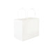 Extra Thick White Paper Bag 