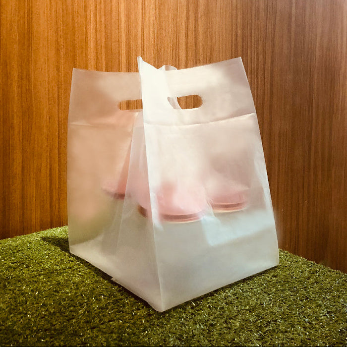Frosted Square Carrier Bag