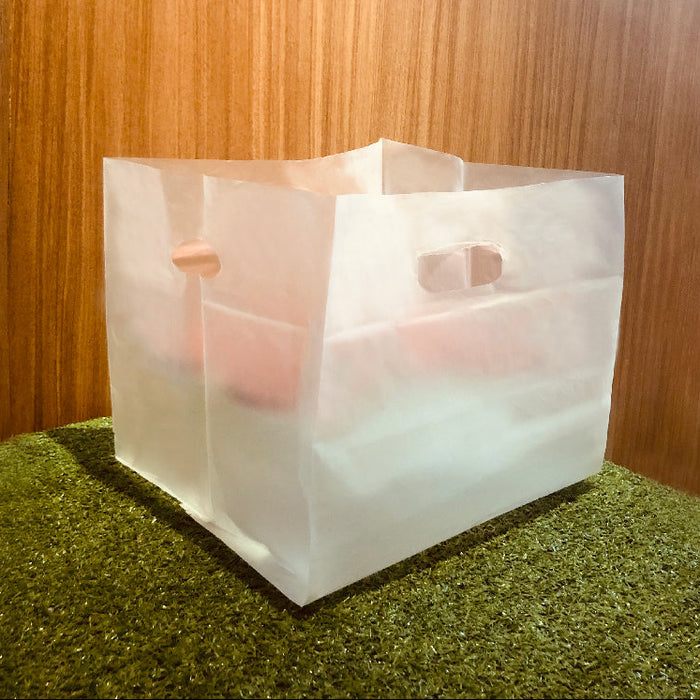 Frosted Square Carrier Bag