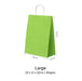 Green Paper Bag