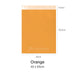 Orange Poly Mailer 