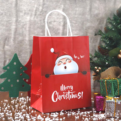 Christmas Gift Bag 13 (10pcs)