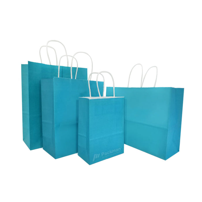 21 x 11 x 27cm Blue Paper Bag (100pcs)