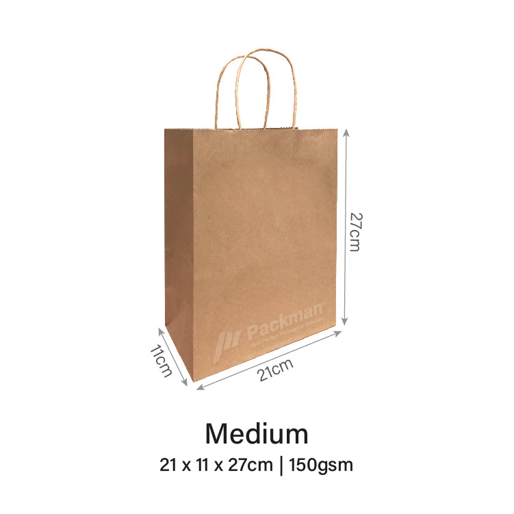 21 x 11 X 27cm Paper Bag (50pcs)