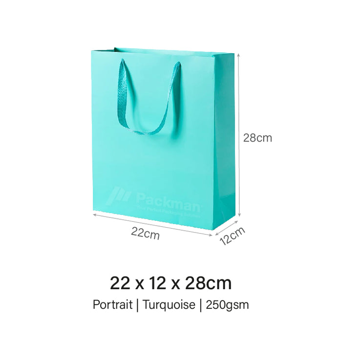 22 x 12 x 28cm Turquoise Paper Bag (20pcs)