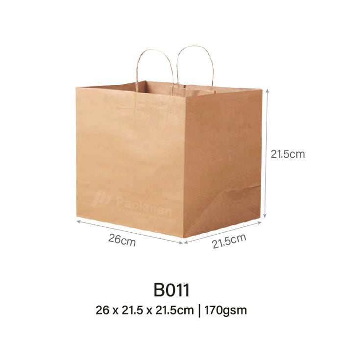 26 x 21.5 x 21.5cm B011 Extra Thick Paper Bag (50pcs)
