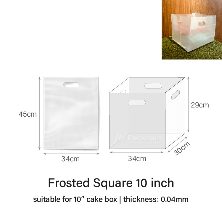 10" Frosted Square Carrier Bag (50pcs)