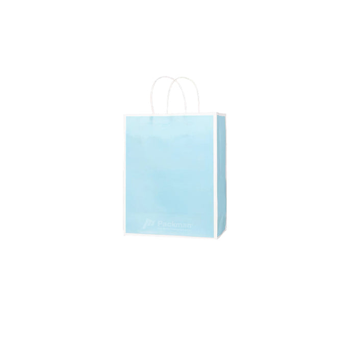21 x 11 x 27cm  Blue with White Border Paper Bag  (100pcs)