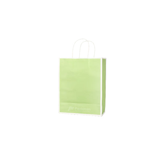 21 x 11 x 27cm Green with White Border Paper Bag  (100pcs)