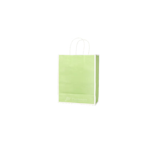 15 x 8 x 21cm Green with White Border Paper Bag  (100pcs)