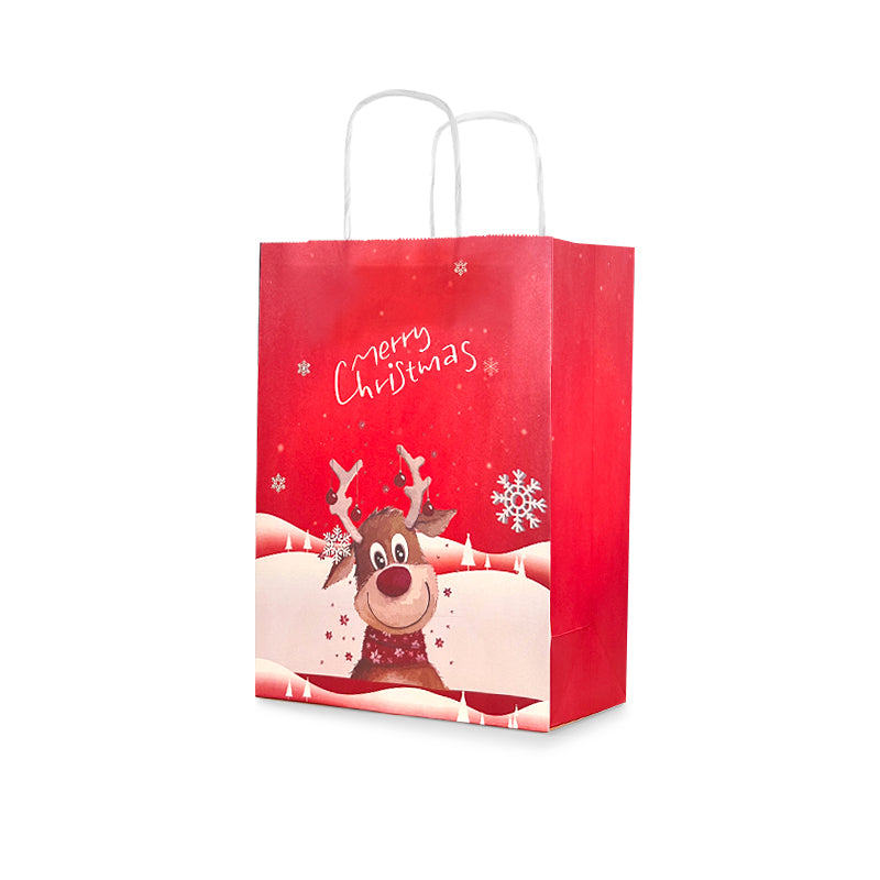 Christmas Gift Bag 08 (10pcs)