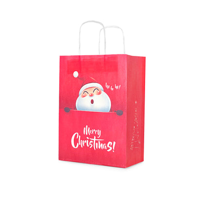 Christmas Gift Bag 13 (10pcs)
