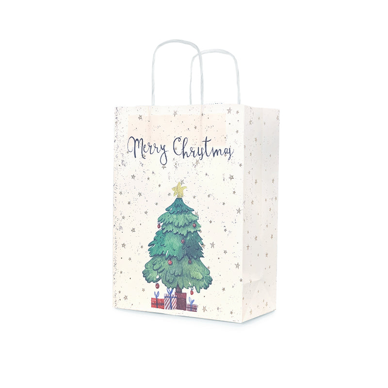 Christmas Gift Bag 14 (10pcs)