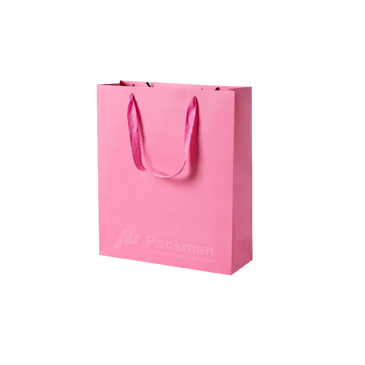 22 x 12 x 28cm Pink Paper Bag (20pcs)