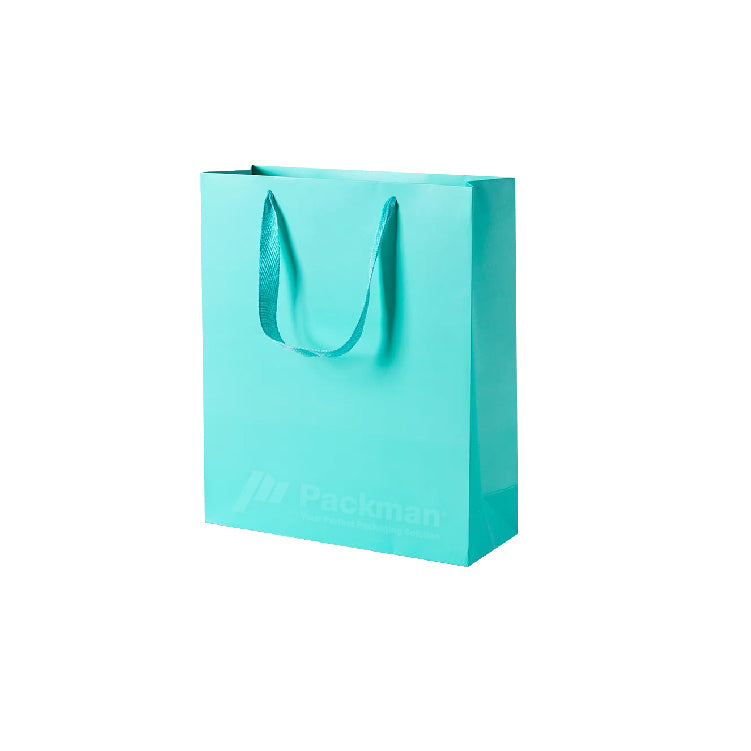 22 x 12 x 28cm Turquoise Paper Bag (20pcs)