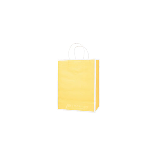 15 x 8 x 21cm  Yellow with White Border Paper Bag  (100pcs)