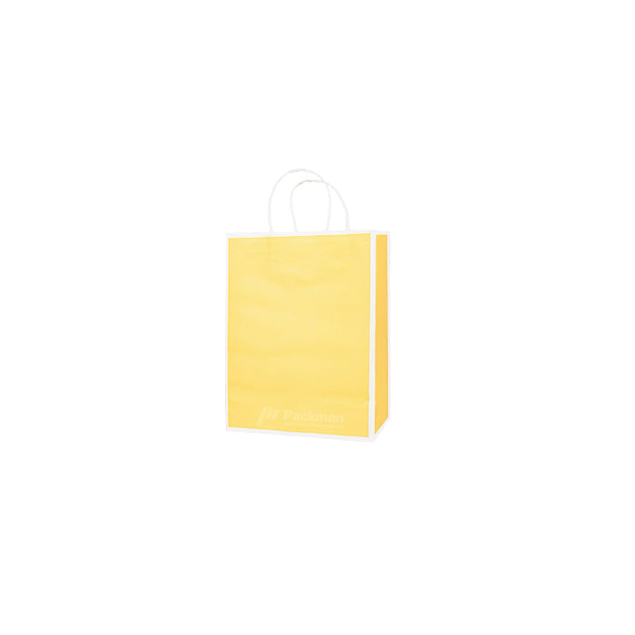 15 x 8 x 21cm  Yellow with White Border Paper Bag  (100pcs)