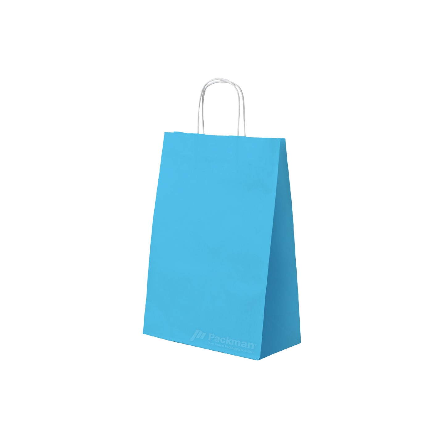 25 x 12 x 32cm Blue Paper Bag (100pcs)