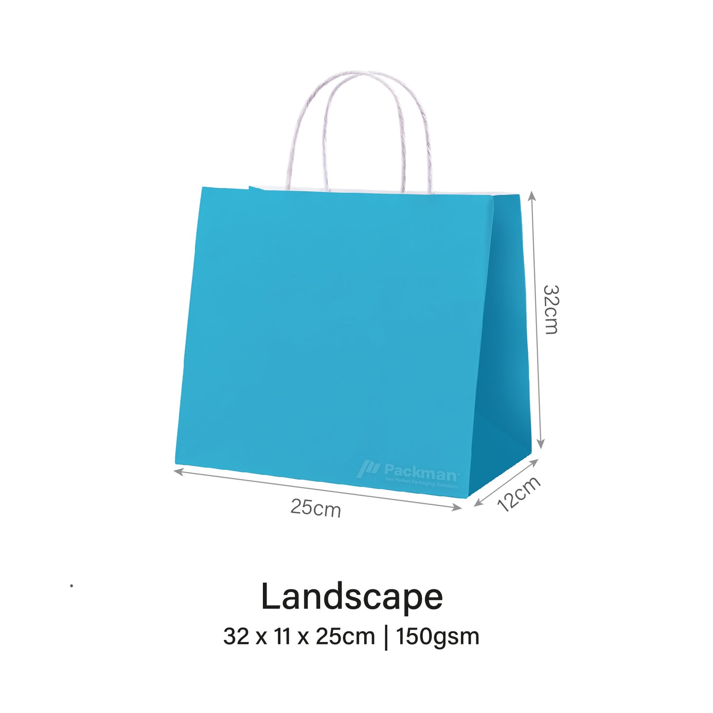 32 x 11 x 25cm Blue Paper Bag (100pcs)