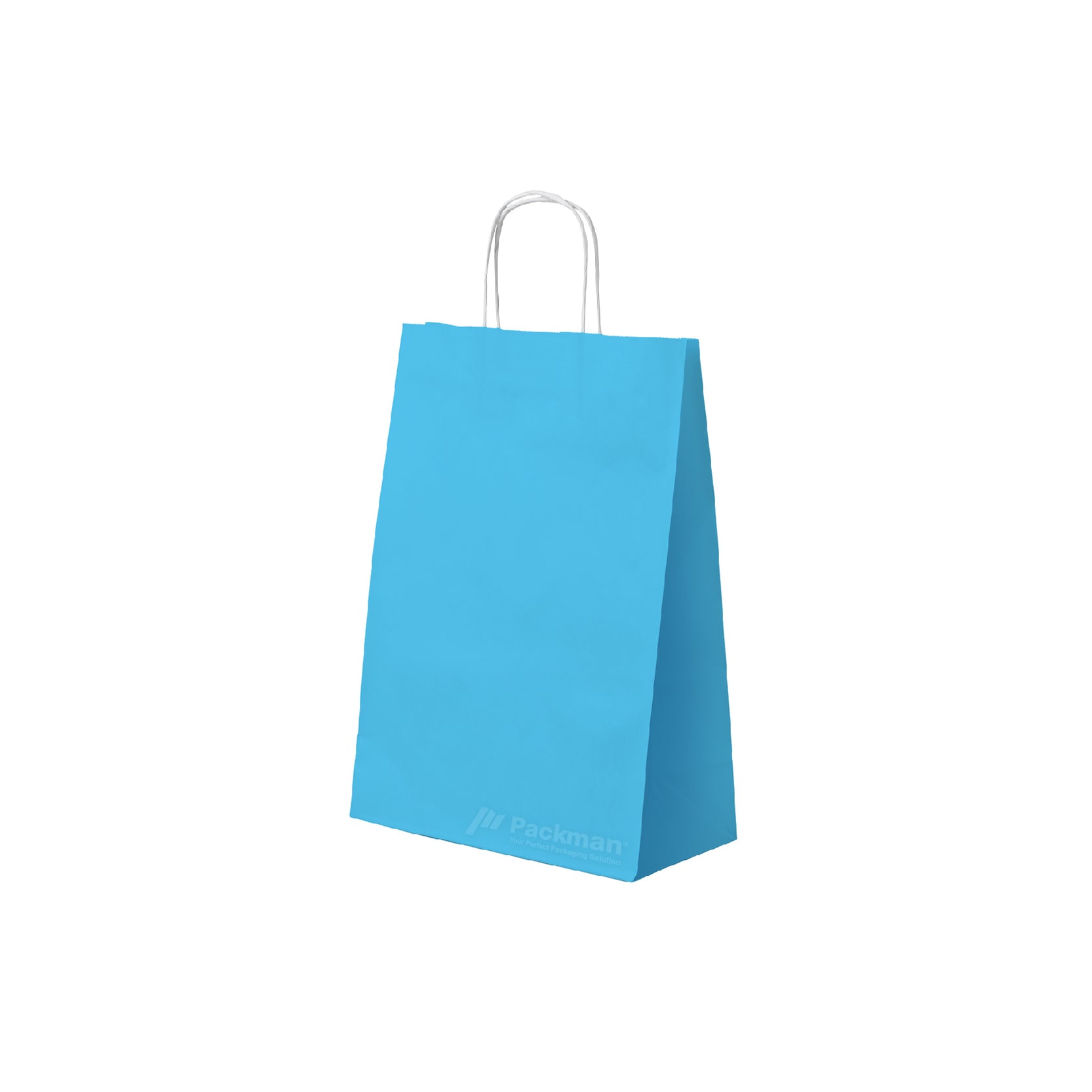 25 x 12 x 32cm Blue Paper Bag (100pcs) — Packman