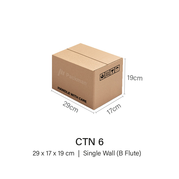 CTN 6 - 29 x 17 x 19cm (100pcs)