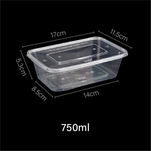 Rectangular plastic container