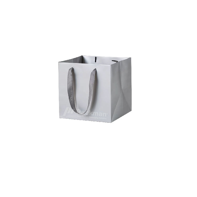 Silver Square Paper Bag