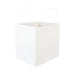 White Square Paper Bag
