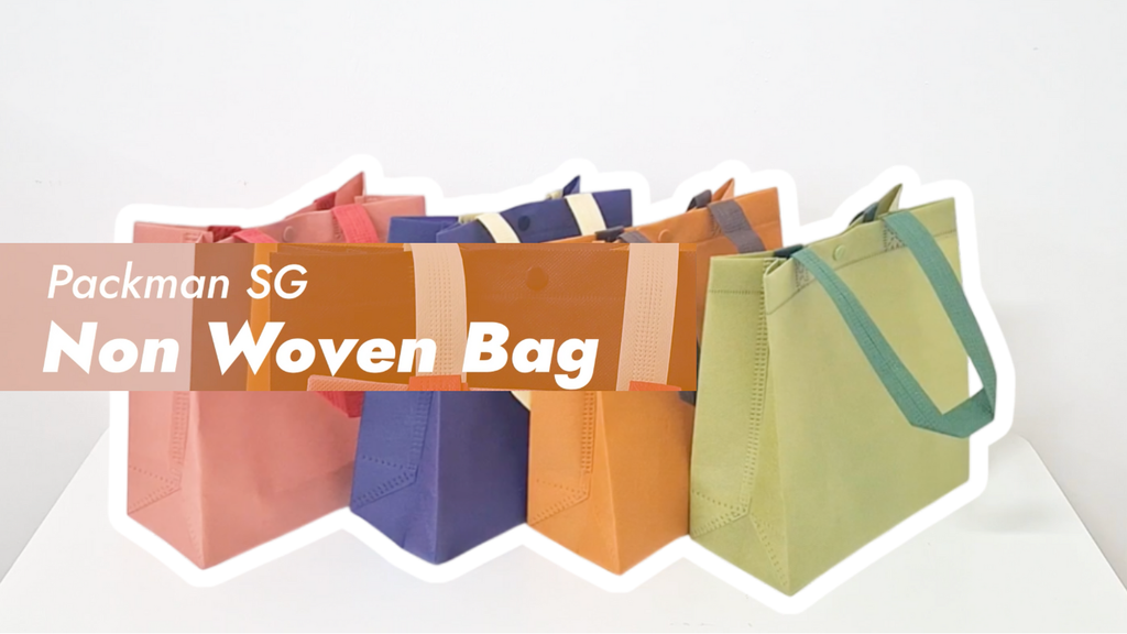 Non Woven Gift Bag